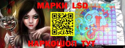 дмт Кингисепп