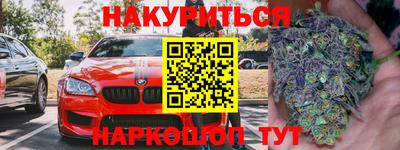 дмт Кингисепп