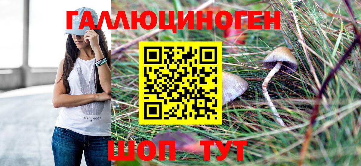 Псилоцибиновые грибы прущие грибы Красноуфимск